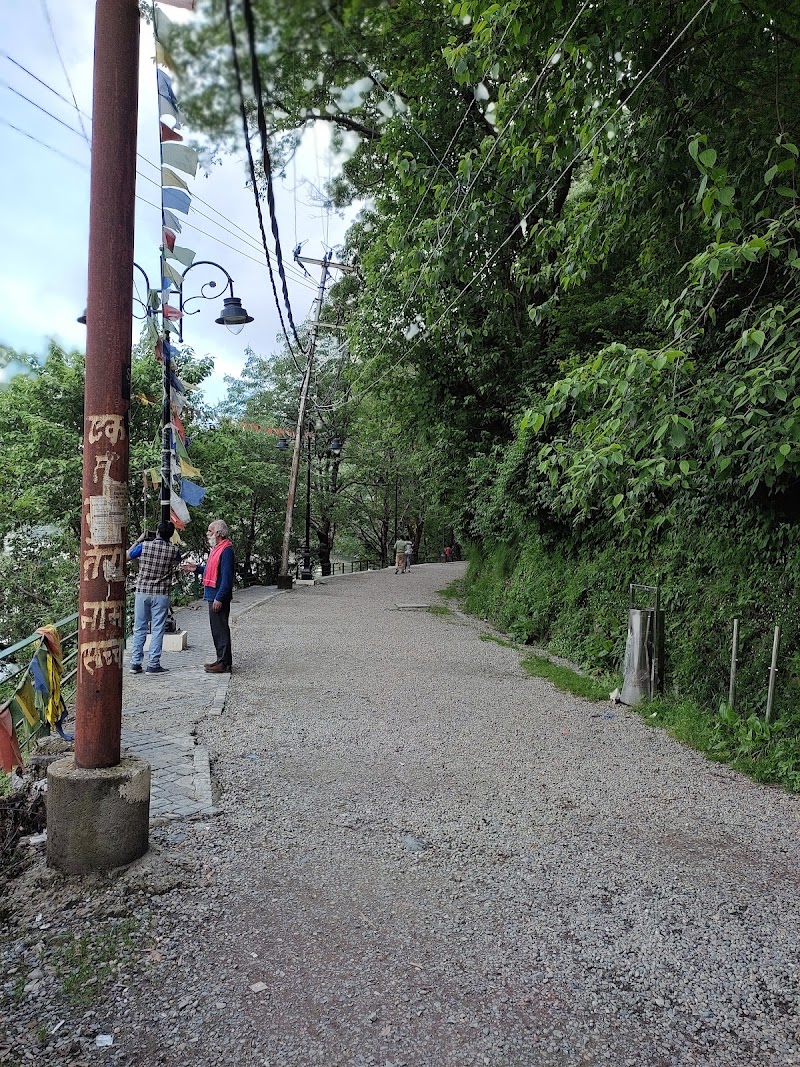 Ayarpatta - Ayarpatta, Nainital, Uttarakhand 263001, India