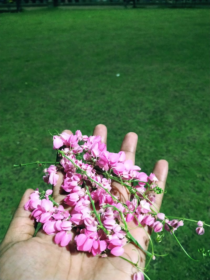Kukreja Park - Kukreja Park 1, Kukreja Complex Rd, Kukreja, Govind Nagar, Bhandup West, Mumbai, Maharashtra 400078, India