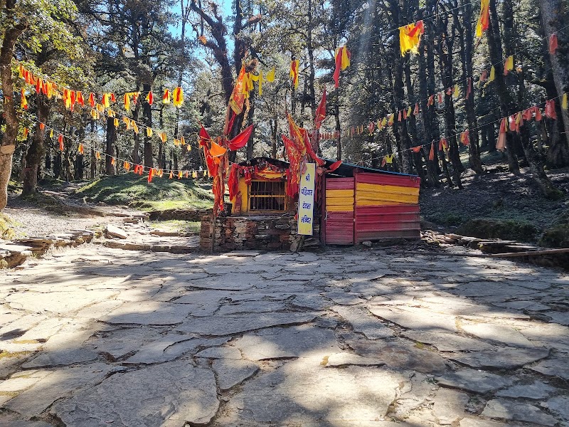 Gurson Bugyal - Gurson Bugyal, GH67+J67, Auli Laga Salude, Uttarakhand 246443, India
