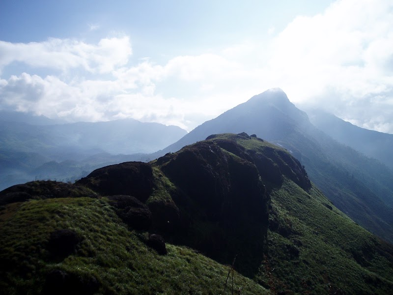 Letchimi hills half day trekking - Letchimi hills half day trekking, Old, sevenmalai estate, near lions school Ksrtc bus stand, Munnar, Keralam 685612, India