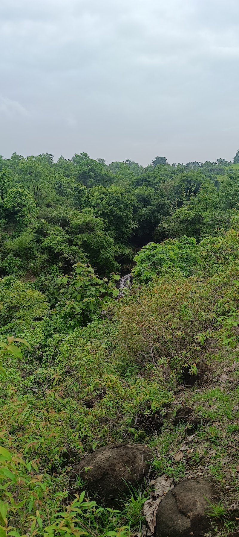 Natural Waterfall - Natural Waterfall, W325+M92, Morandhana, Malkota, Madhya Pradesh 460553, India