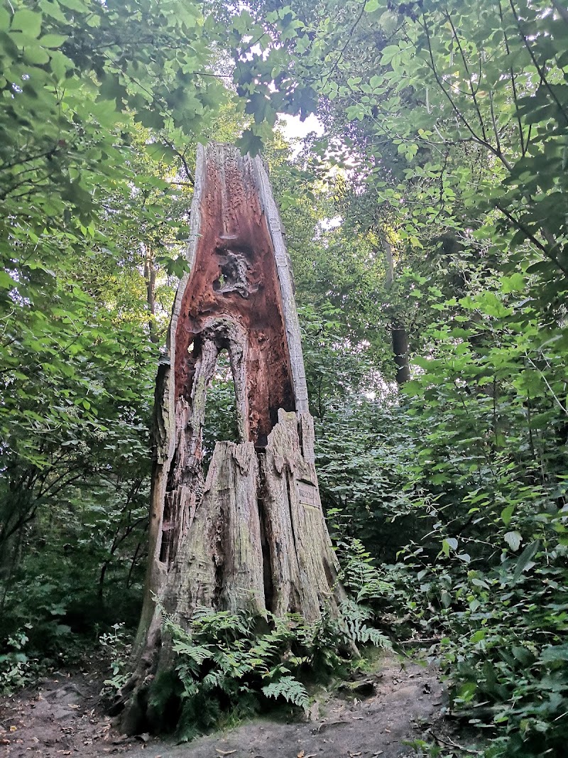 Vinoř Nature Reserve - Vinoř Nature Reserve, 190 15 Satalice, Czechia
