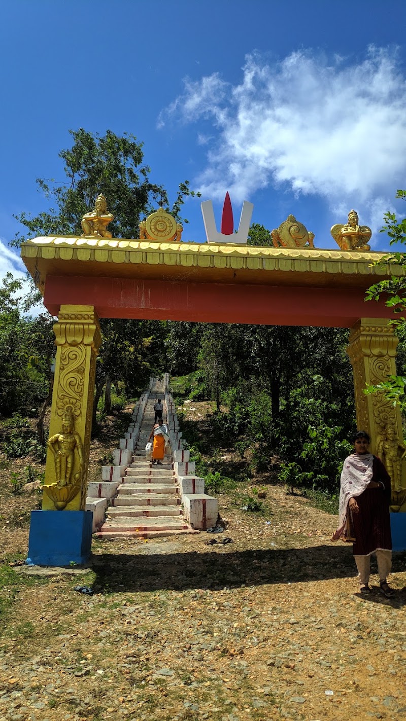 Shri Ranganatha Swamy Temple - Bilikallu Betta - Shri Ranganatha Swamy Temple - Bilikallu Betta QJRF+C79, Hunasekatte, Karnataka 577115, India