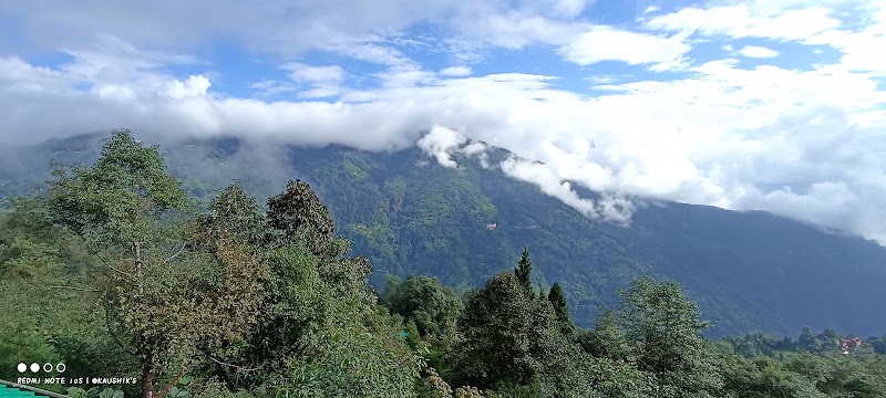 Chodenla homestay - Chodenla homestay Sano Gairi, West Bengal 734201, India