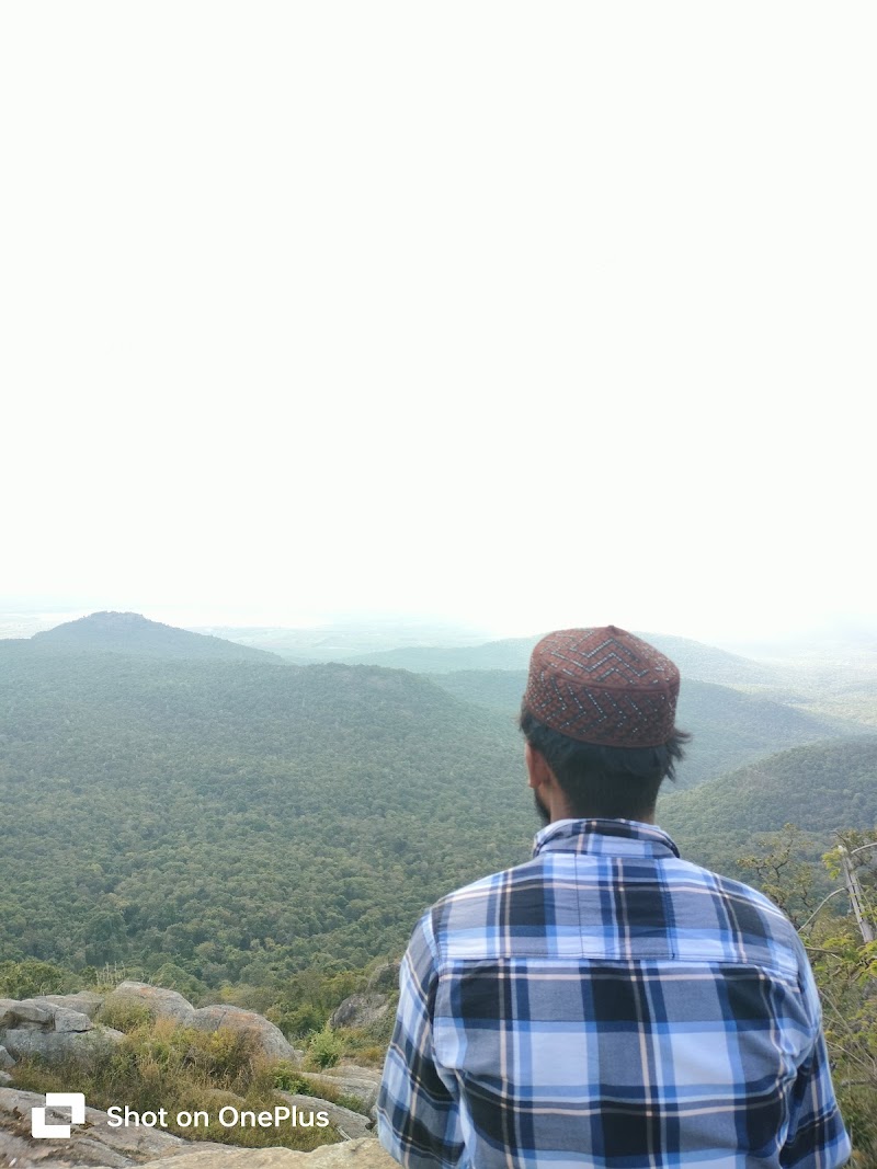BR Hills Town Park - BR Hills Town Park, X4XQ+M94, Biligiriranganabetta, Karnataka 571441, India