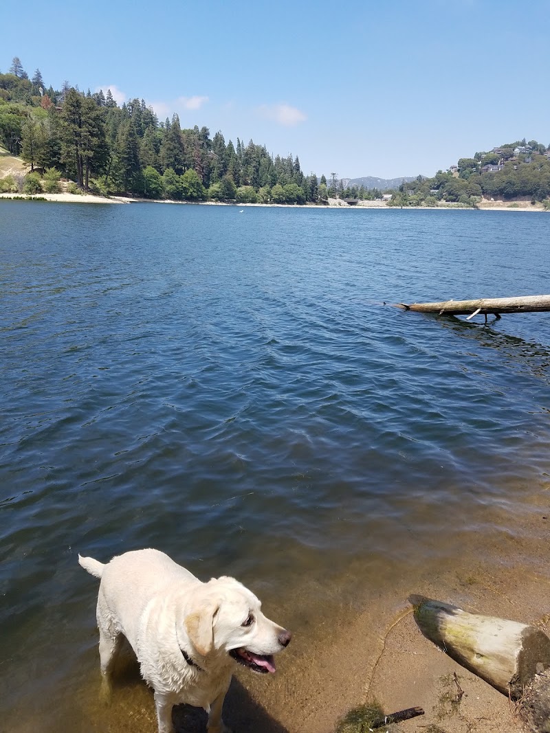 Lake Gregory Regional Park - Lake Gregory Regional Park, 24171 Lake Dr, Crestline, CA 92325, USA