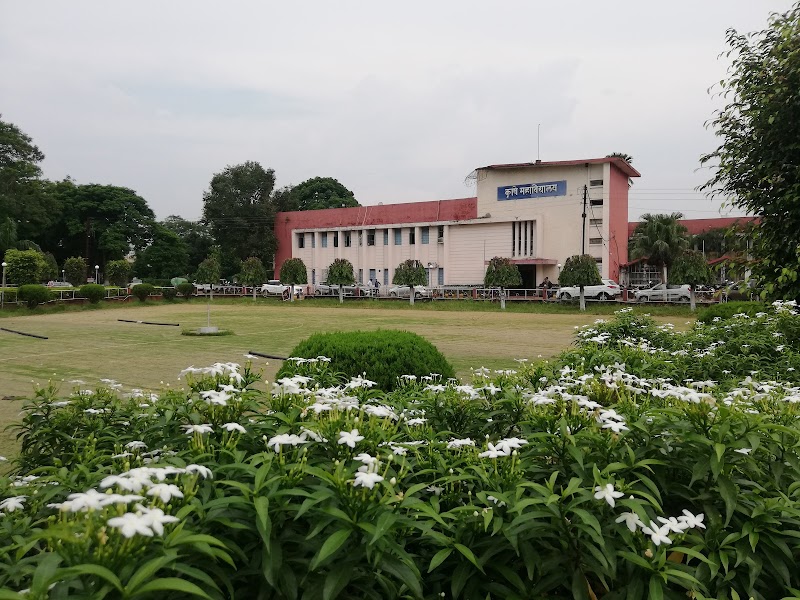 Indira Gandhi krishi Vishwavidyalaya Raipur