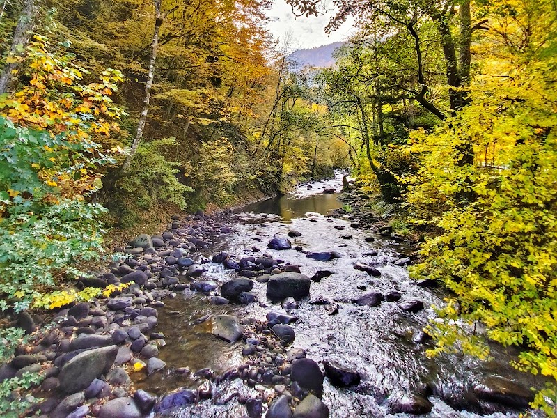 Borjomi Central Park - Borjomi Central Park, 50 9 აპრილის ქუჩა, Borjomi 1200, Georgia