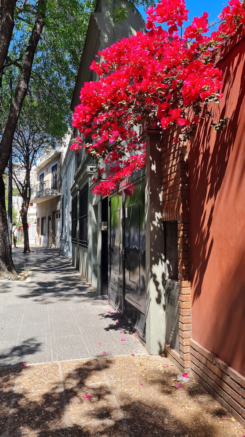 Colegiales - Colegiales, Buenos Aires, Argentina