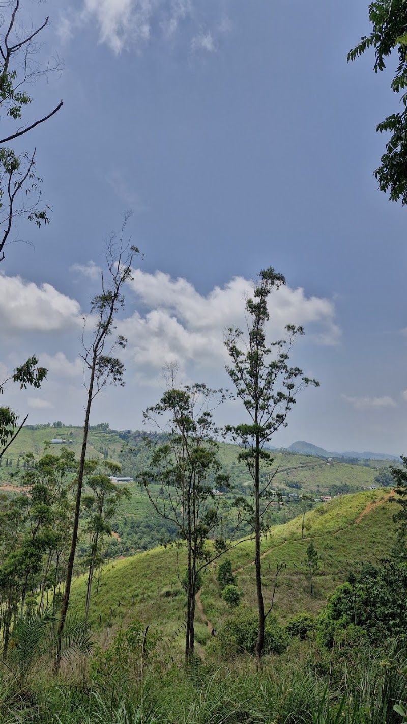 Pine Valley Vagamon - Pine Valley Vagamon MW4H+3J2, Vedikuzhi, Kolahalamedu, Keralam 685501, India