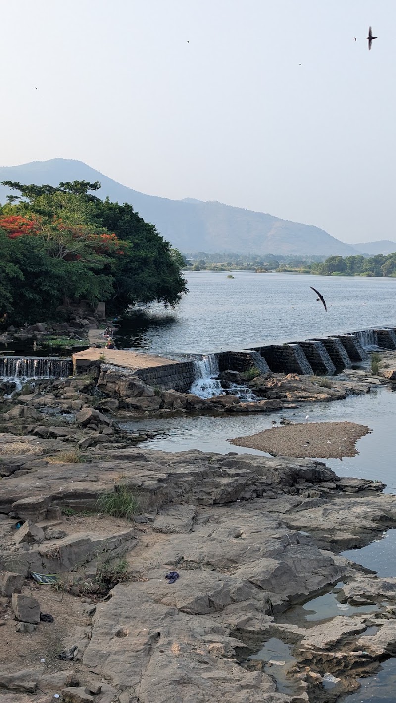 Cauvery Split Katte - Cauvery Split Katte, 571440, Cauvery River Road, Attur Forest, Sathegala, Karnataka 571440, India