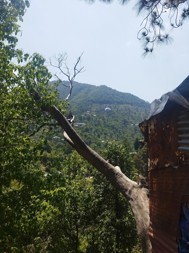 Ramgarh malla - Ramgarh malla, Malla, CHJ2+5C8, Ramgarh Rd, Ramgarh, Umagarh, Uttarakhand 263137, India