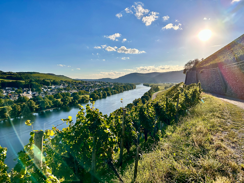 Grape Escapes Germany - Grape Escapes Germany, Bahnhof, 55218 Ingelheim am Rhein, Germany