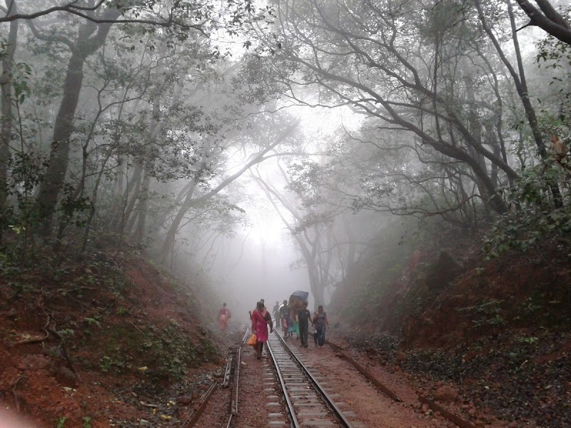 Matheran Hill Station - Matheran Hill Station Kasturba Rd, Matheran, Maharashtra 410102, India