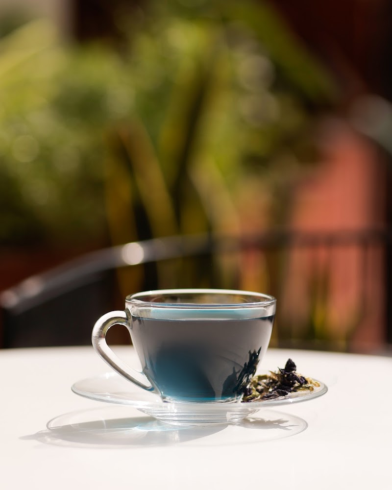 Hopin - Patio Cafe - Hopin - Patio Cafe 17/2, New Palasia, Indore, Madhya Pradesh 452001, India