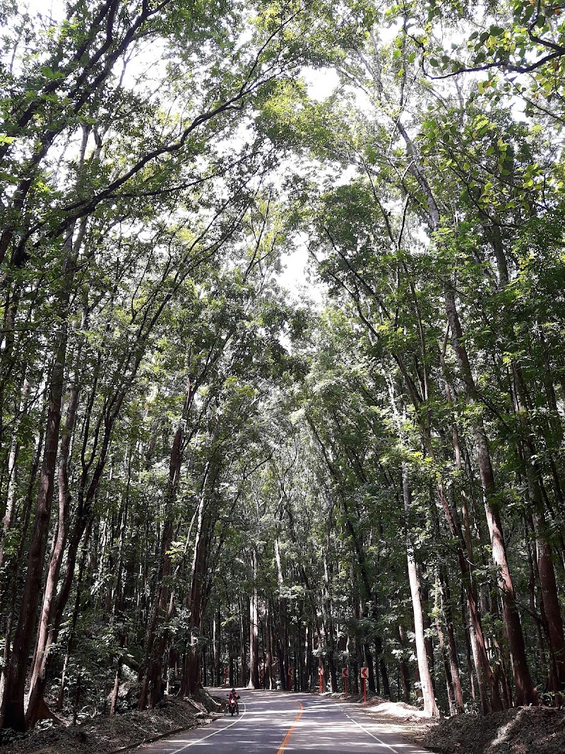 Bilar - Bilar, Bohol, Philippines