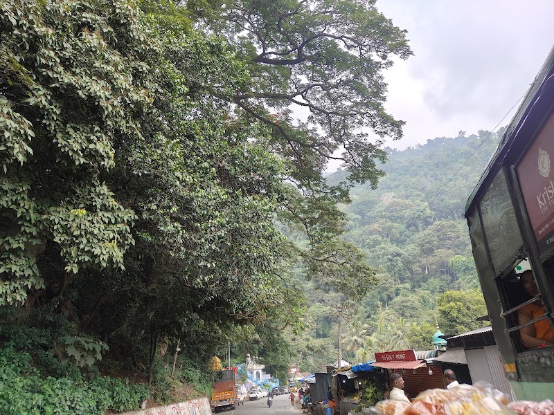 Ooty mountain view - Ooty mountain view 9PPM+QWJ, Coonoor Rd, Pudu Line, Ketti, Tamil Nadu 643215, India