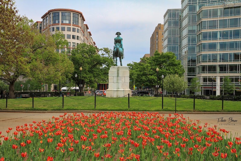 George Washington Equestrian Statue - George Washington Equestrian Statue, 2192-2442 K St NW, Washington, DC 20037, USA