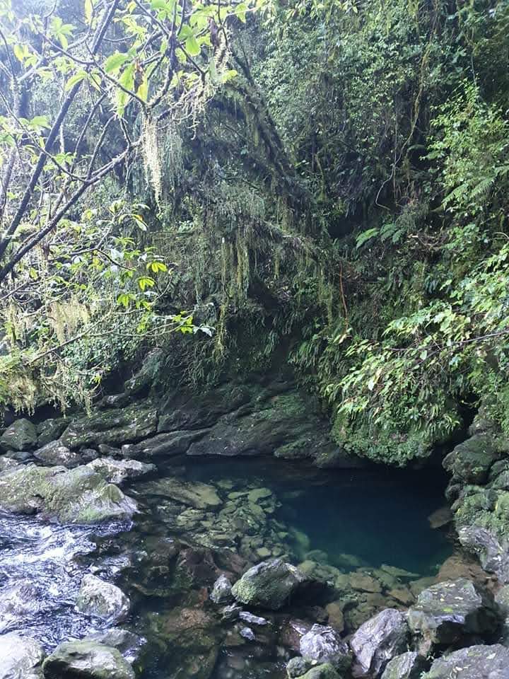 Nelson - Nelson, New Zealand
