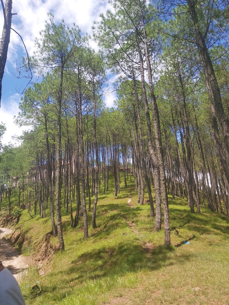 Batase Dada - Batase Dada 10 Dhulikhel Road, Dhulikhel 45209, Nepal