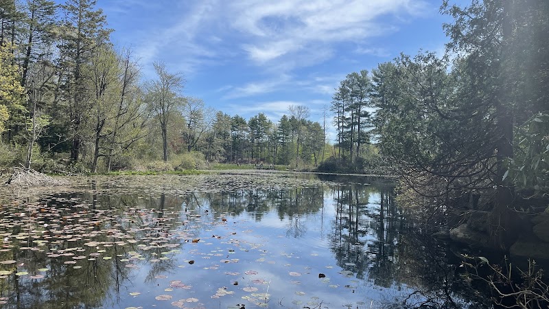 Mass Audubon's Ipswich River Wildlife Sanctuary - Mass Audubon's Ipswich River Wildlife Sanctuary 87 Perkins Row, Topsfield, MA 01983, USA