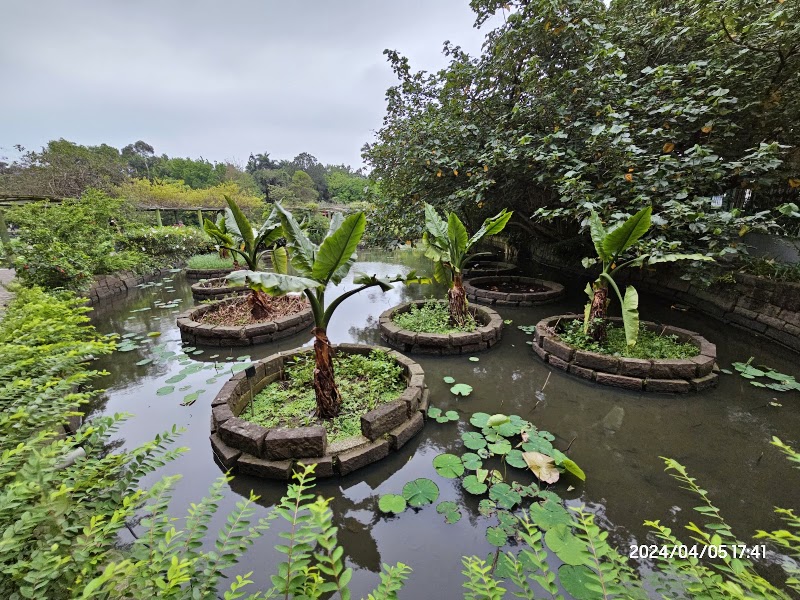 Small Pond of The Taipei Botanical Garden - Small Pond of The Taipei Botanical Garden No. 49號, Nanhai Rd, 中正區 Zhongzheng District, Taipei City, Taiwan 100