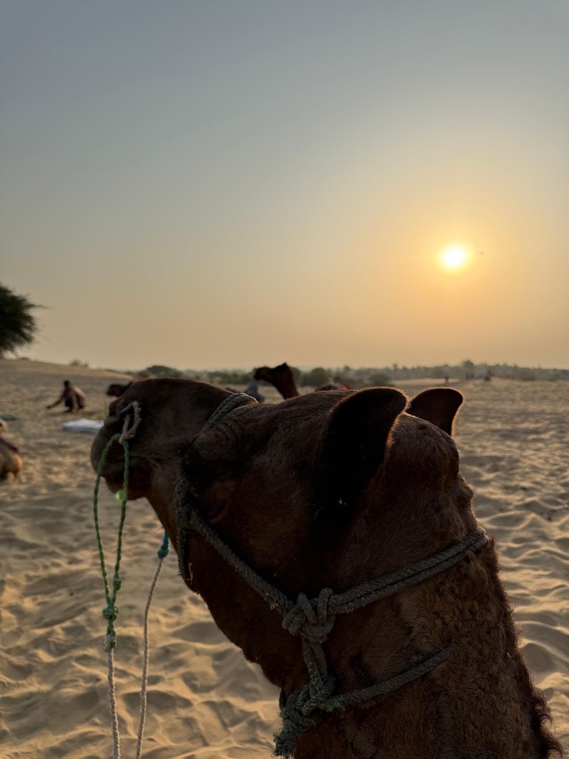 Khuri Sand Dunes - Khuri Sand Dunes, JP3G+C8, Dhoba, Rajasthan 345034, India