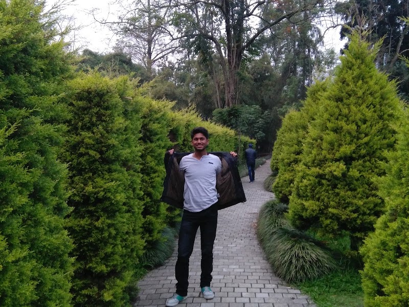 Saramsa Garden - Saramsa Garden 7HGV+RWX, Sikkim 737135, India