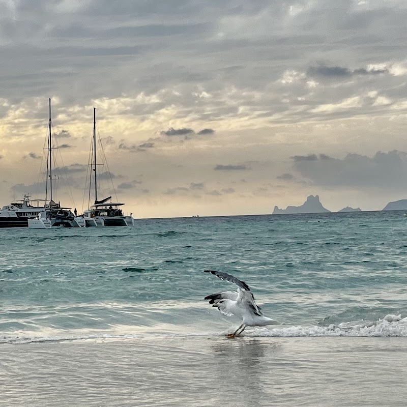 Platja de Ses Illetes - Platja de Ses Illetes, 07871, Illes Balears, Spain