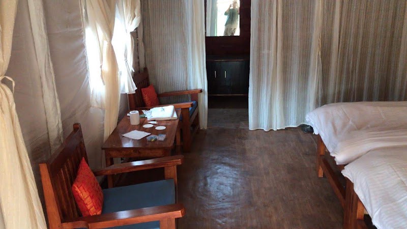 Camping in Bir Billing - Camping in Bir Billing Landing road, near local store, Bir Colony, Bir, Baijnath, Chaugan, Himachal Pradesh 176077, India