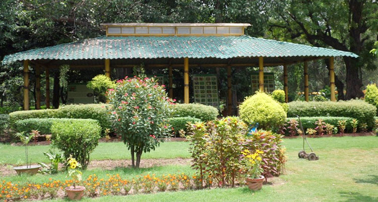 Butterfly Park, 26 Chandigarh - Butterfly Park, 26 Chandigarh Nitttr, Sector 26, Chandigarh, 160019, India