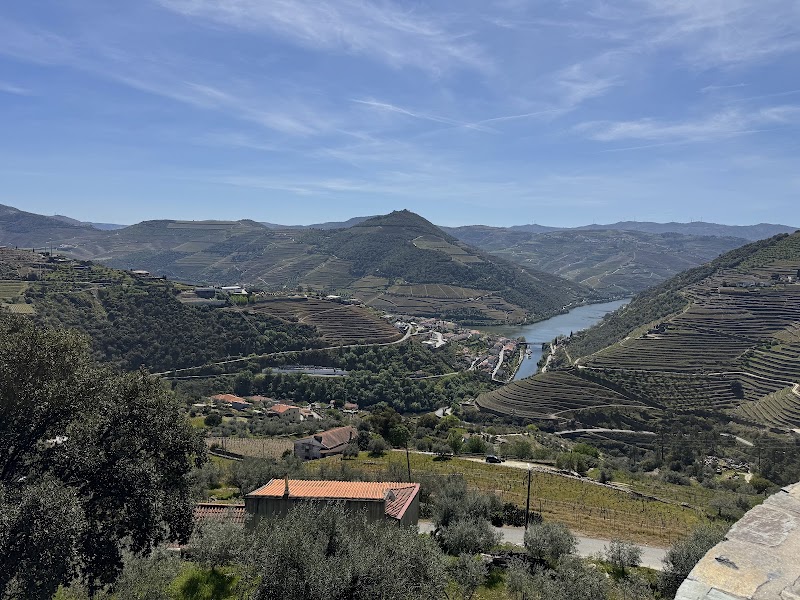 Douro Valley Wine Tours - Douro Valley Wine Tours, R. das Mimosas 4510, 4510-607 São Pedro da Cova, Portugal