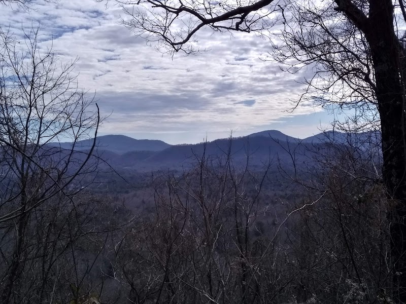 Collier Cove Nature Preserve - Collier Cove Nature Preserve 175 Rhododendron Dr, Arden, NC 28704, USA