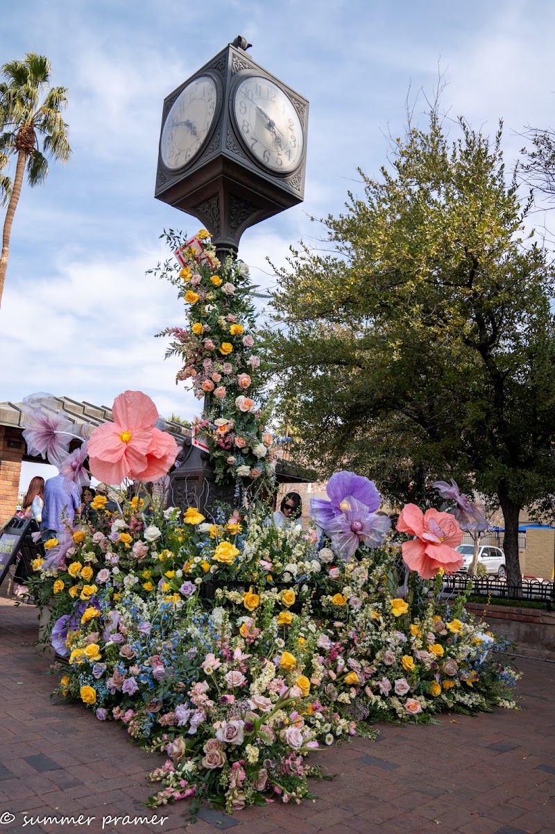 South Mill Avenue - South Mill Avenue, S Mill Ave, Tempe, AZ, USA