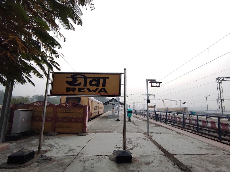 Rewa - Rewa, Madhya Pradesh 486001, India
