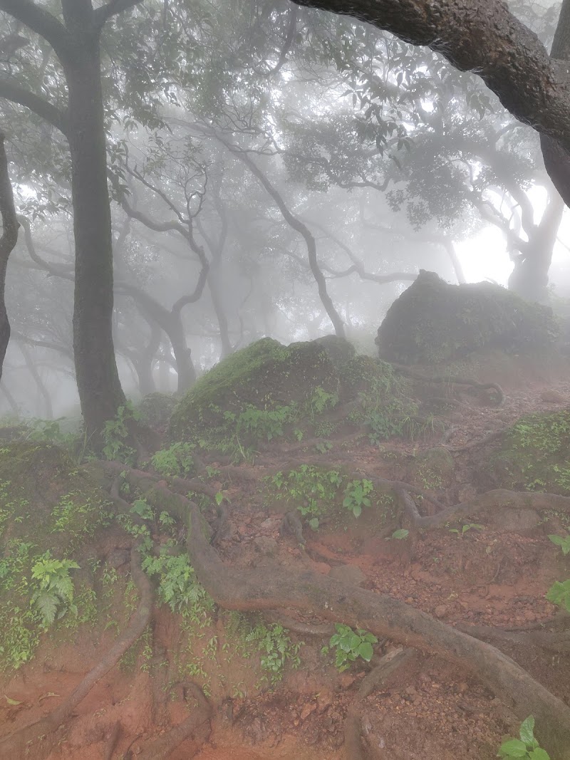 Old Arthur Seat Point Road - Old Arthur Seat Point Road, Old Arthur Seat Point Rd, Mahabaleshwar, Maharashtra 412806, India