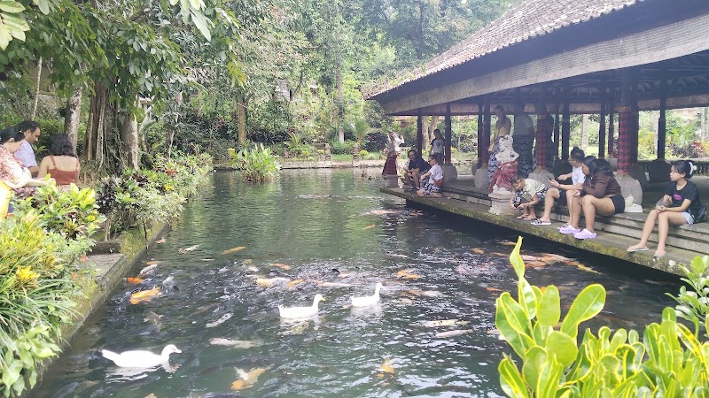 Wide Bali Tours - Wide Bali Tours, Jl. Sindu, Sayan, Kecamatan Ubud, Kabupaten Gianyar, Bali 80571, Indonesia