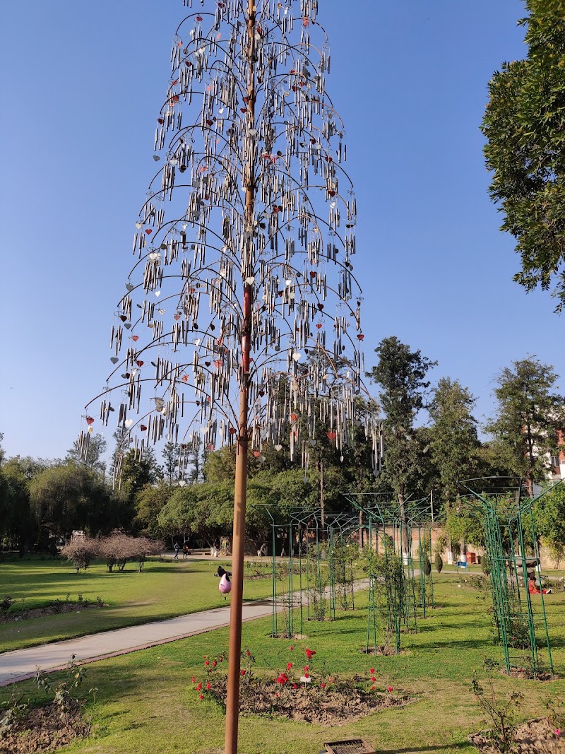 Zakir Hussain Rose Garden - Zakir Hussain Rose Garden Jan Marg, 16B, Sector 16, Chandigarh, 160015, India