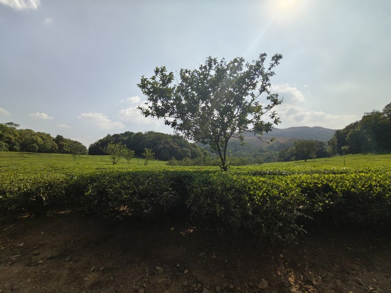 Kadumane View Point - Kadumane View Point WM6F+HMG, Kadumane, Karnataka 573134, India