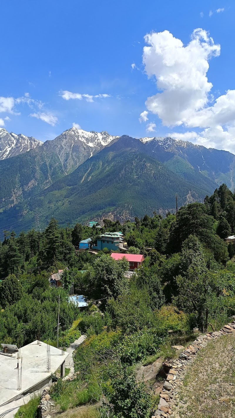 The Hidden Heaven Homestay kalpa - The Hidden Heaven Homestay kalpa anuragnegiS/O, dev raj negi, tehsil, near by vishnu temple, Kalpa, Saryo, Himachal Pradesh 172108, India