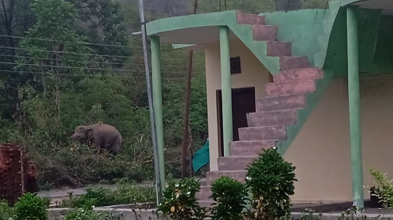 Corbett Jungle Inn , (Riverside Resort) opposite Mohan Eco Safari Zone,Jim Corbett , Dhikala Range, Muhan - Corbett Jungle Inn , (Riverside Resort) opposite Mohan Eco Safari Zone,Jim Corbett , Dhikala Range, Muhan Ranikhet Rd, Khulbe Garden, Mohaan, Ramnagar, Deema Range, Uttarakhand 263646, India