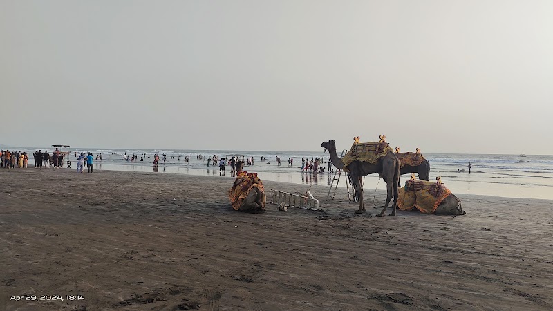Murud Beach, Dapoli - Murud Beach, Dapoli Q4F8+25, Murud, Maharashtra 415713, India