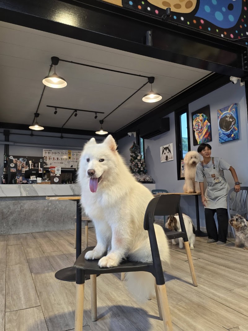 Dog Club Pattaya - Dog Club Pattaya 38 10 Soi South Muang Pattaya, Amphoe Bang Lamung, Chang Wat Chon Buri 20150, Thailand
