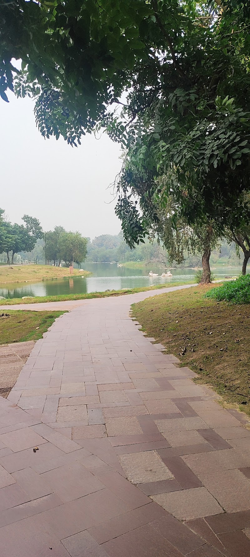 Rajiv Gandhi Memorial - Rajiv Gandhi Memorial Serrvice Road parallel to Ring Road, enter through, Satyagraha Marg, Shakti Sthal, Raj Ghat, New Delhi, Delhi, 110002, India