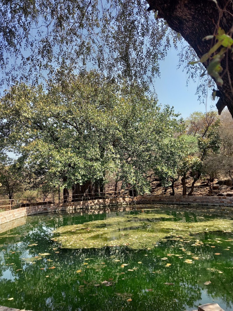 Stupa 2 - Stupa 2 FPJP+7GF, Sanchi, Madhya Pradesh 464661, India