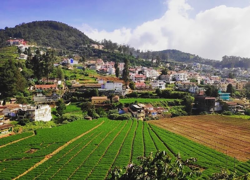 Nilgiri Mountains - Nilgiri Mountains Nilgiri Mountains, Jagathala, Tamil Nadu 643202