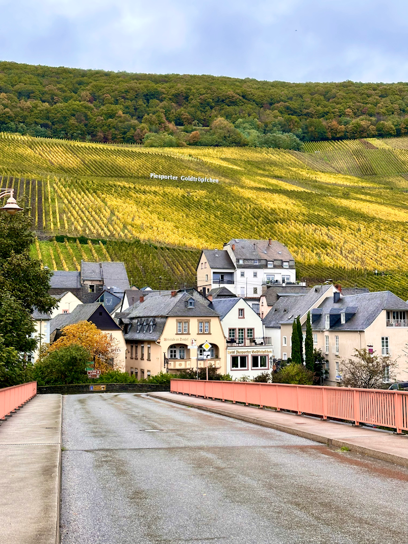 Grape Escapes Germany - Grape Escapes Germany, Bahnhof, 55218 Ingelheim am Rhein, Germany