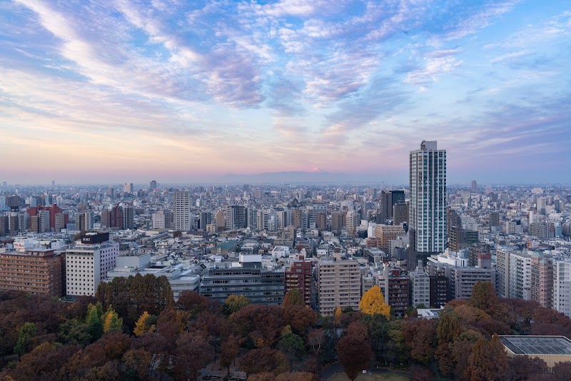 Hyatt Regency Tokyo - Hyatt Regency Tokyo 2-chōme-7-2 Nishishinjuku, Shinjuku City, Tokyo 160-0023, Japan