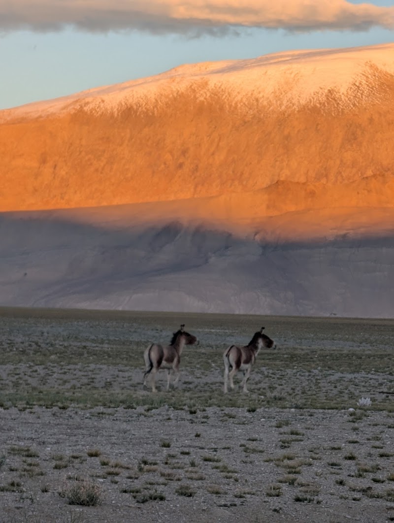 Brokenmoon trek & tours - Brokenmoon trek & tours, Mentokling Complex Changspa Road Leh-Ladakh, Jammu, Leh, 194101