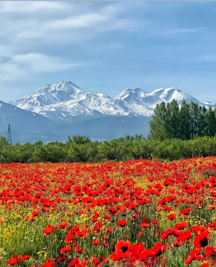 Meshginshahr Forest Park - Meshginshahr Forest Park, 9MWW+V3H, Meshginshahr, Iran